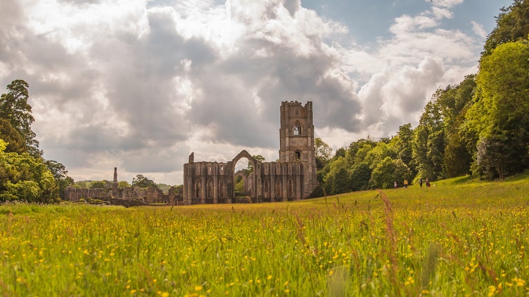 Looking across East Green towards the abbey through the long grass, wildflowers and buttercups